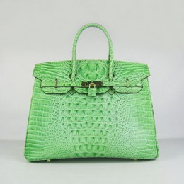 Hermes Birkin 35Cm Crocodile Head Stripe Handbags Green Gold
